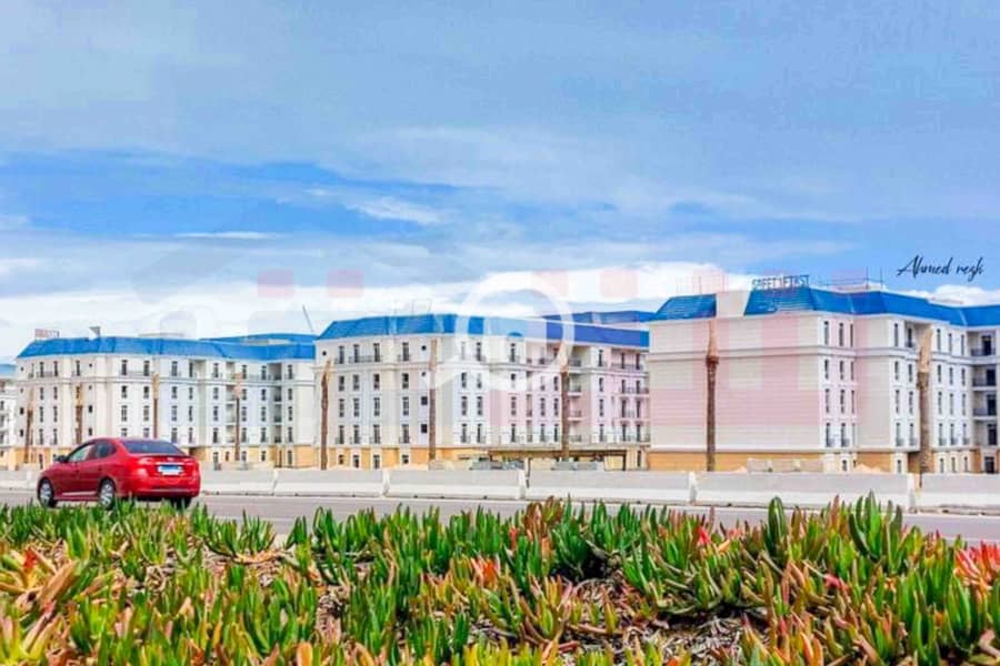 4 IMG-20251209-WA0095. jpg