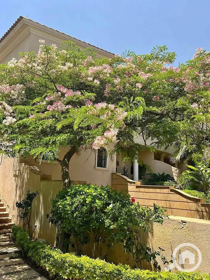 2 506686962_9994417794012038_1748675387468767072_n. jpg