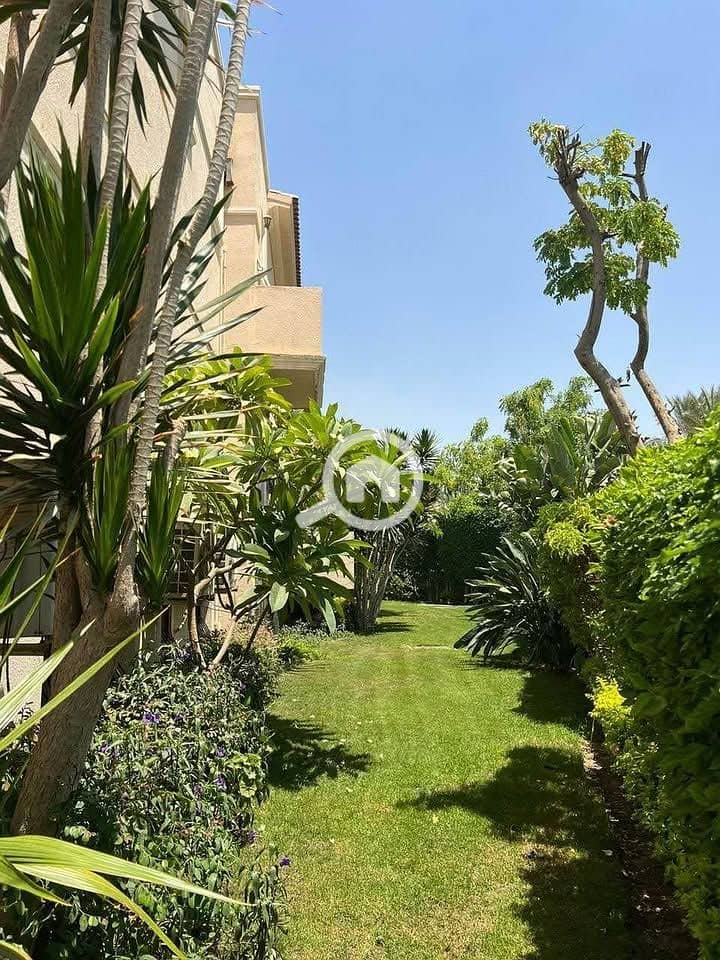 3 506831917_2125581357915044_565761384314927699_n. jpg