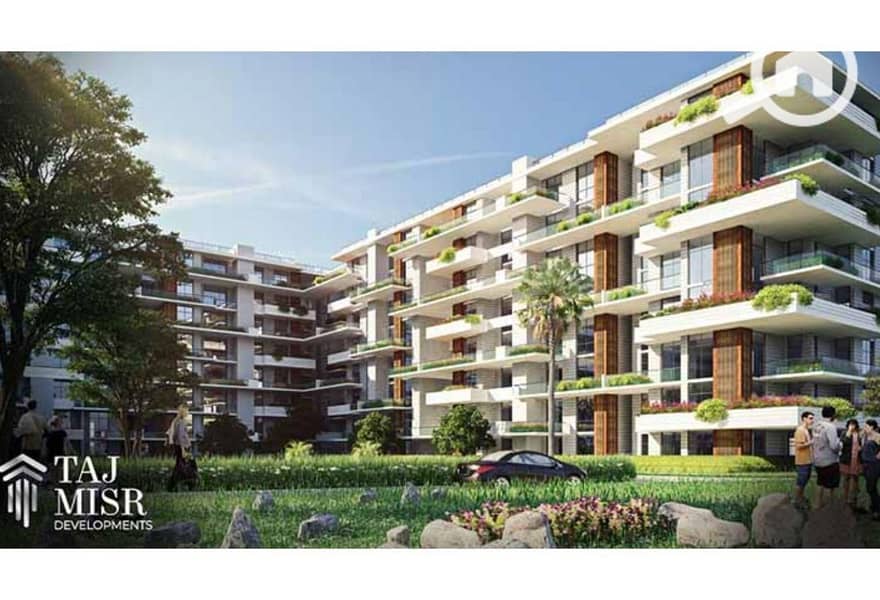 7 c949b916-e151-11ef-b921-ce7a413a7ff7. jpeg