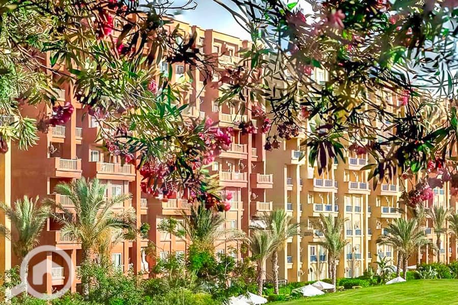 7 WhatsApp Image 2025-05-06 at 12.31. 23 PM (1). jpg