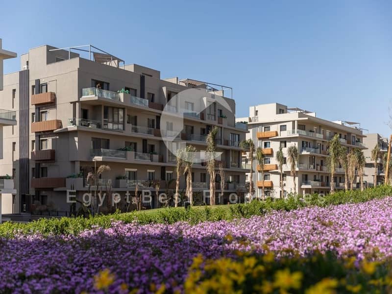 IMG-20240610-WA0005. jpg IMG-20240610-WA0005. jpg