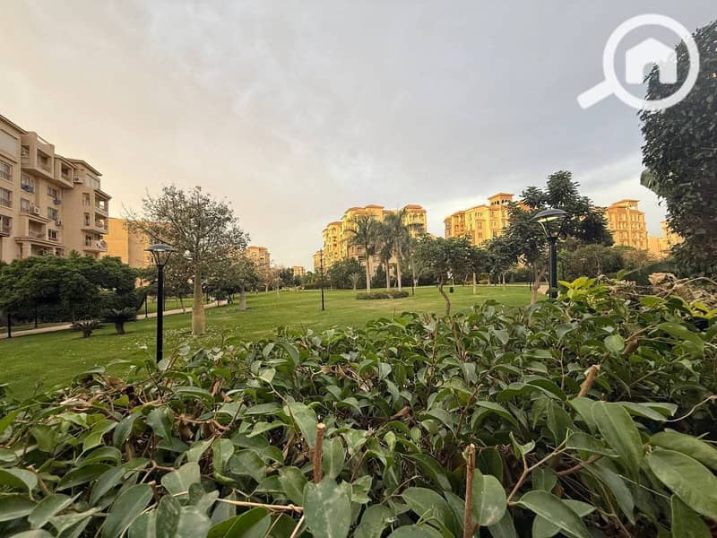 10 FB_IMG_1764680365759. jpg