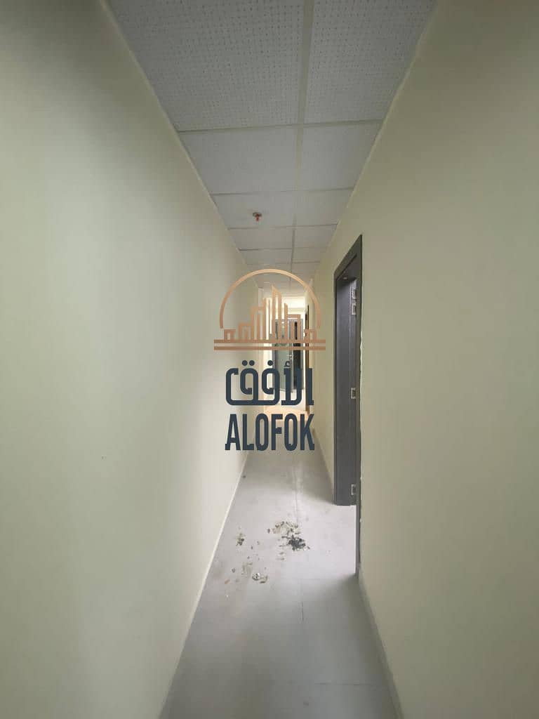 4 WhatsApp Image 2025-12-13 at 2.05. 40 PM (3). jpeg