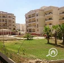 7 الخمايل2. jpg