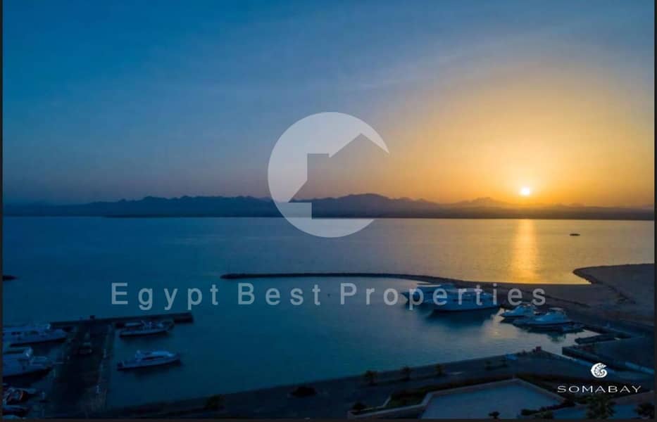 14 WhatsApp Image 2025-03-04 at 12.35. 41 PM (2). jpeg