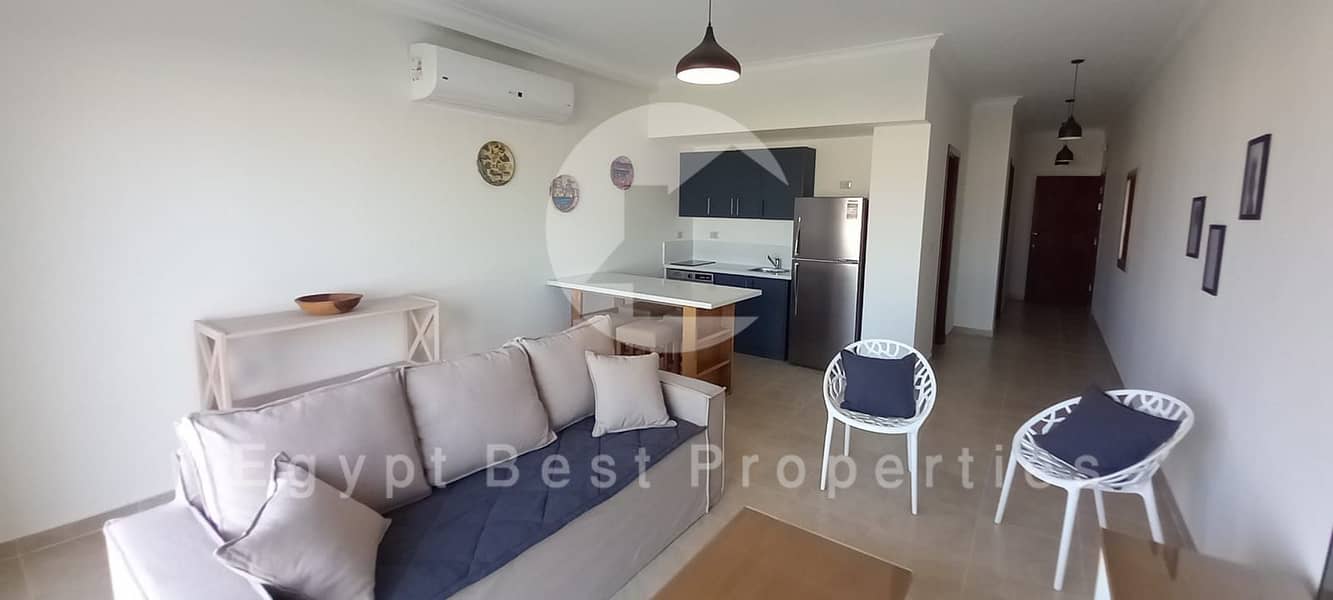 3 WhatsApp Image 2025-08-11 at 14.10. 57_517ffa84. jpg