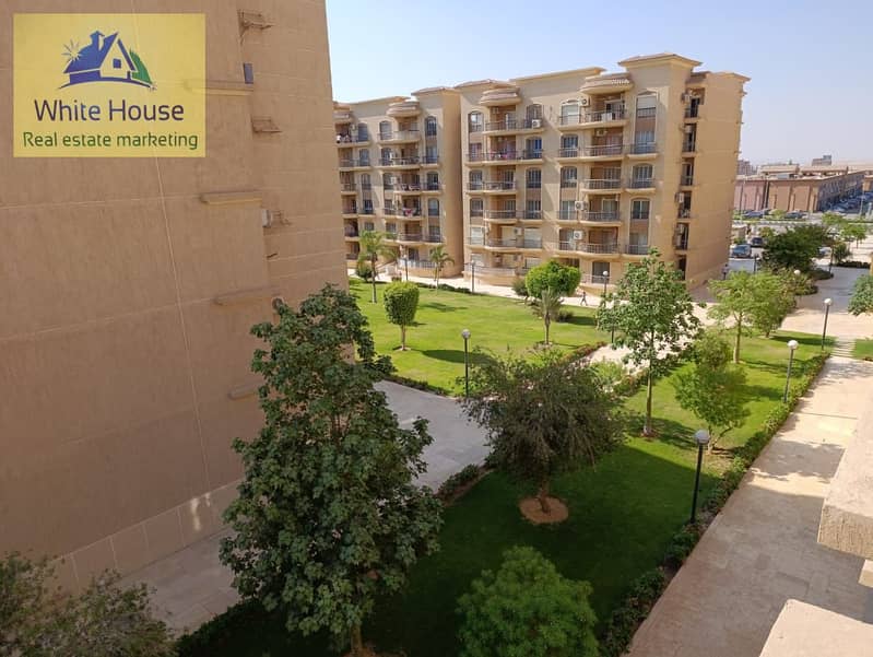 4 WhatsApp Image 2025-06-19 at 7.38. 42 AM (1). jpeg