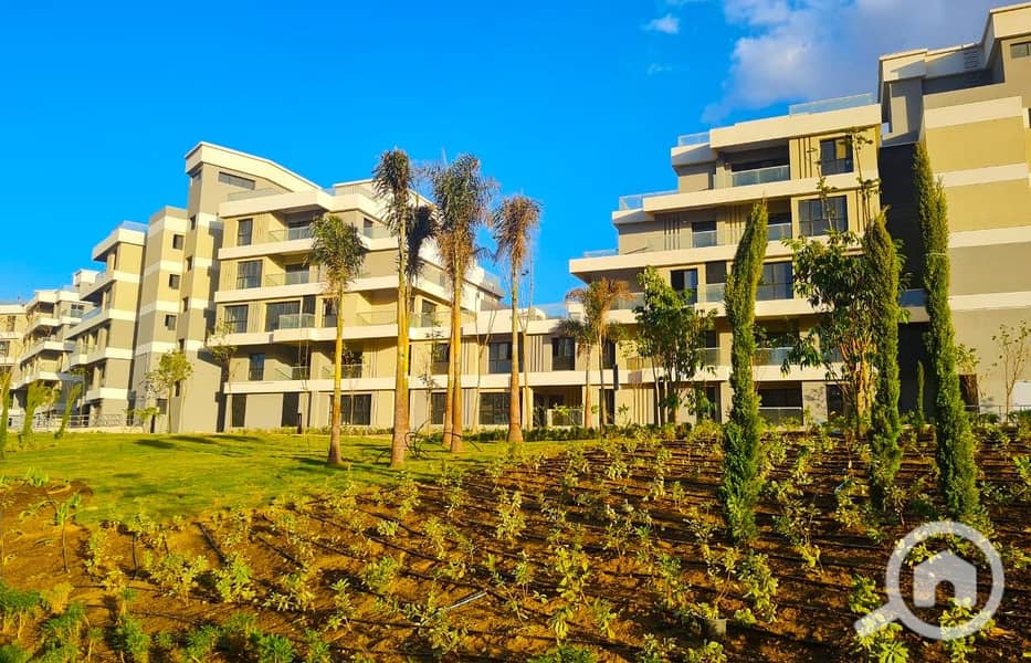 11 WhatsApp Image 2025-12-09 at 12.35. 00 PM. jpeg