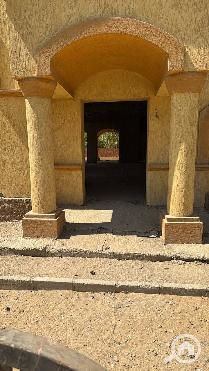 2 cdea79c9-e3bd-4356-ab53-b66651d83011. jpg