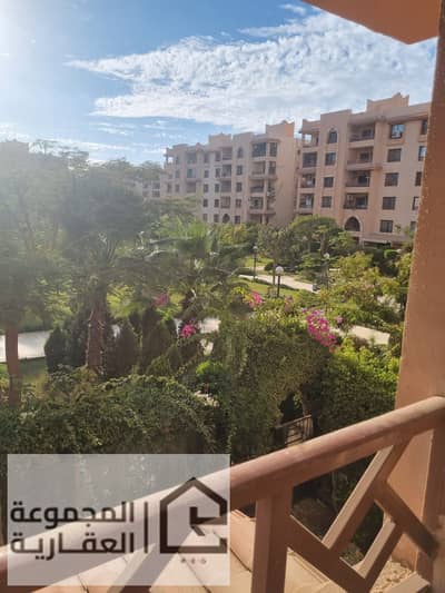 فلیٹ 3 غرف نوم للايجار في القاهرة الجديدة، القاهرة - 20598e40-7aed-4436-9056-3874a37f8f67. jpg