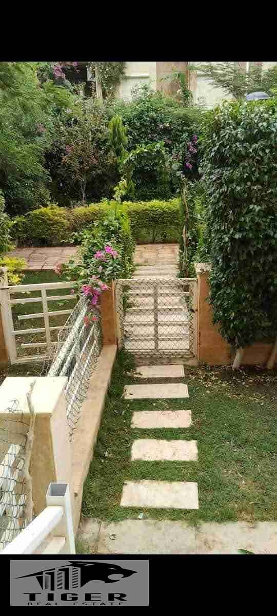 1000426418. jpg 1000426418. jpg