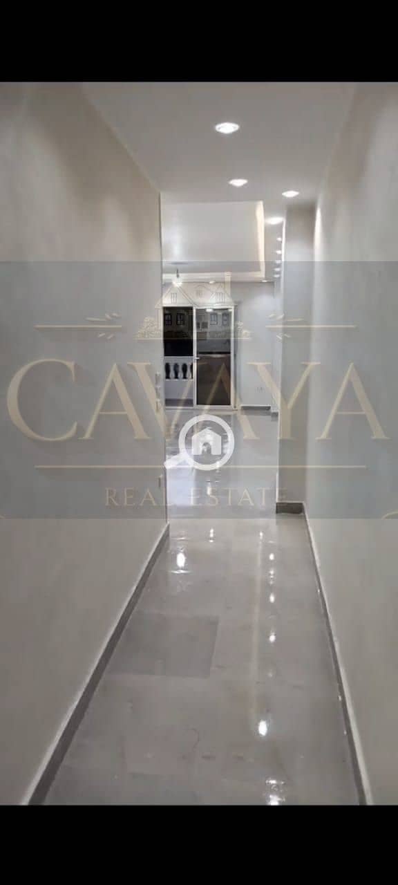 10 Untitled design (8). png