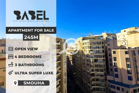 شقة 4 غرف نوم للبيع في سموحة، الإسكندرية - 595389115_122169291656759991_3157983886875256871_n. jpg