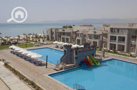 2 9dFu6YY6nzArIgUb. jpg