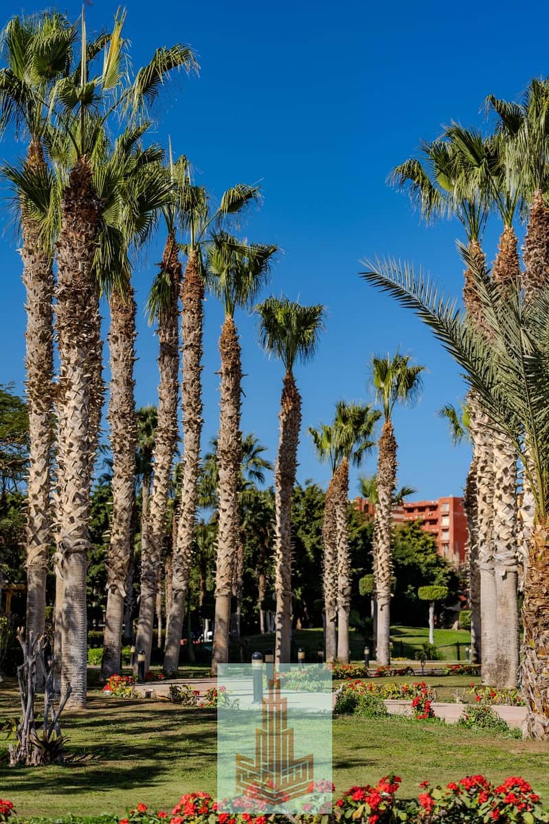 4 IMG-20251213-WA0031. jpg