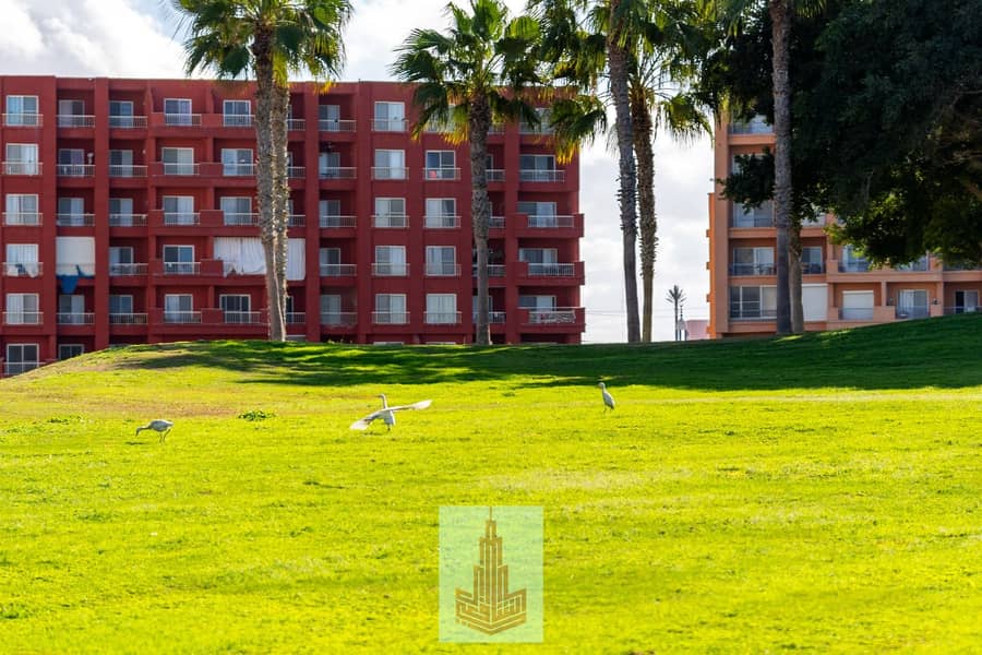 9 IMG-20251213-WA0026. jpg