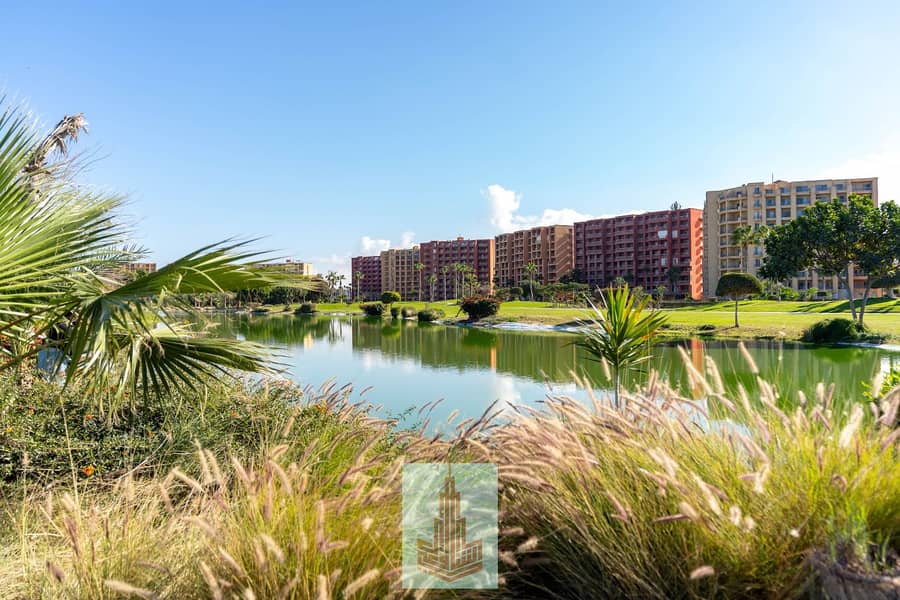 15 IMG-20251213-WA0020. jpg