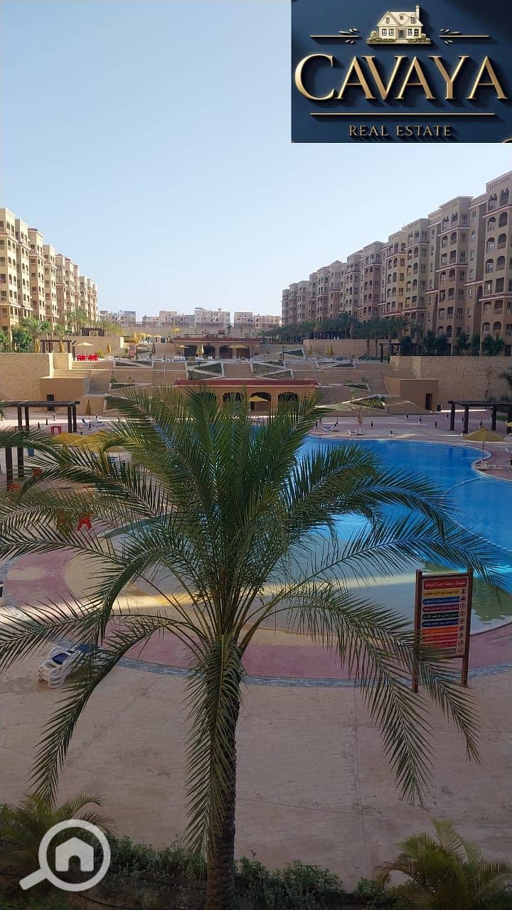 Untitled design (10). png Untitled design (10). png