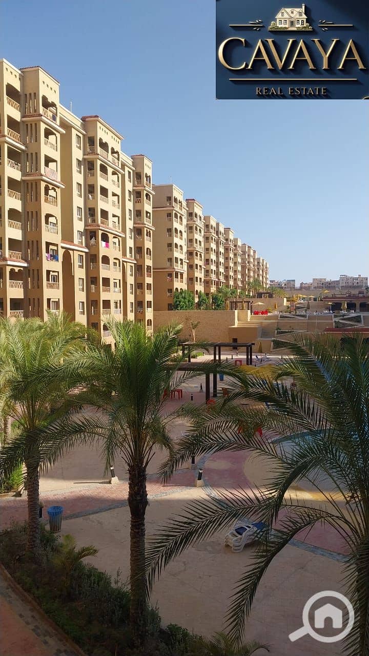 2 Untitled design (9). png