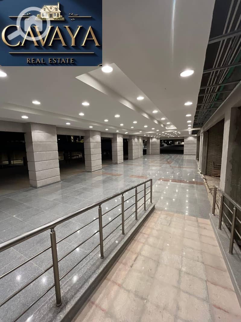 6 Untitled design (19). png