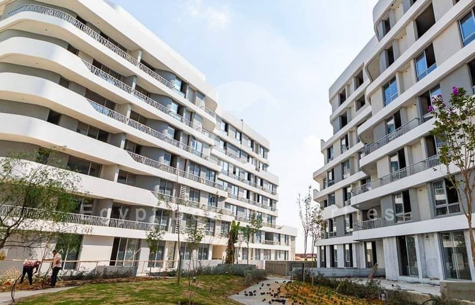 2 bloom fields live shots1 (Custom). jpg