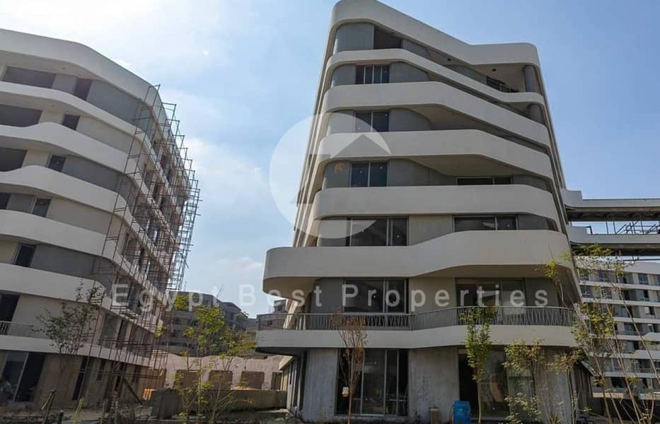 4 bloom fields live shots2 (Custom). jpg