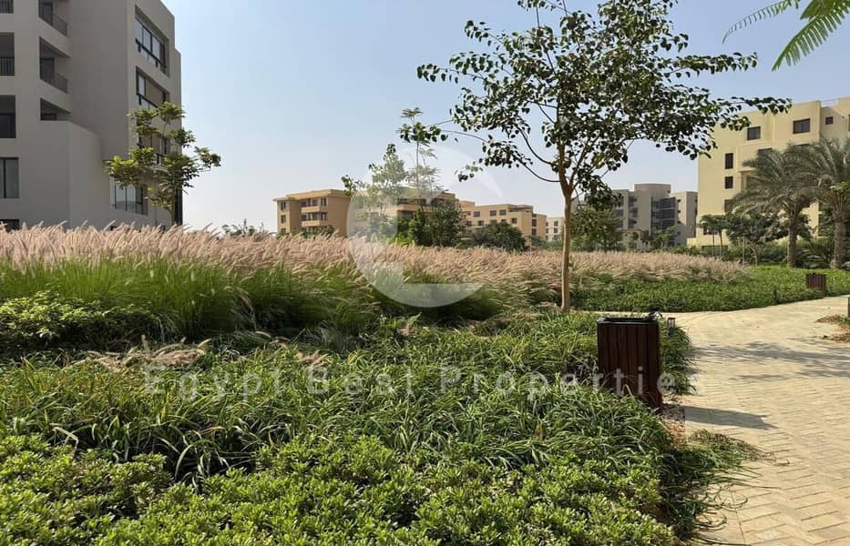 8 WhatsApp Image 2025-08-23 at 12.57. 35_13d23647 (Custom). jpg