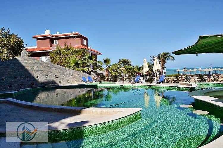 DSC_0028. jpg DSC_0028. jpg