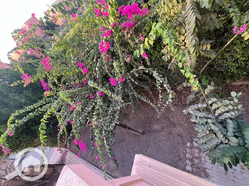 19 WhatsApp Image 2025-10-23 at 6.57. 31 PM (1). jpeg