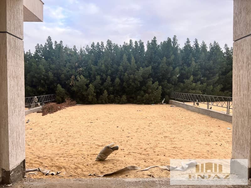 6 2db6b6b7-a0f3-4970-b058-199c1c419034. jpg