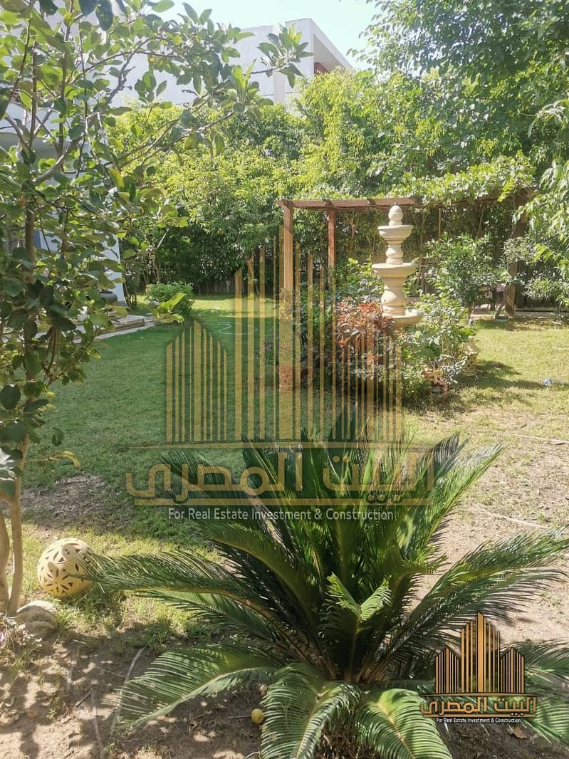 2 U125484 (35). jpeg