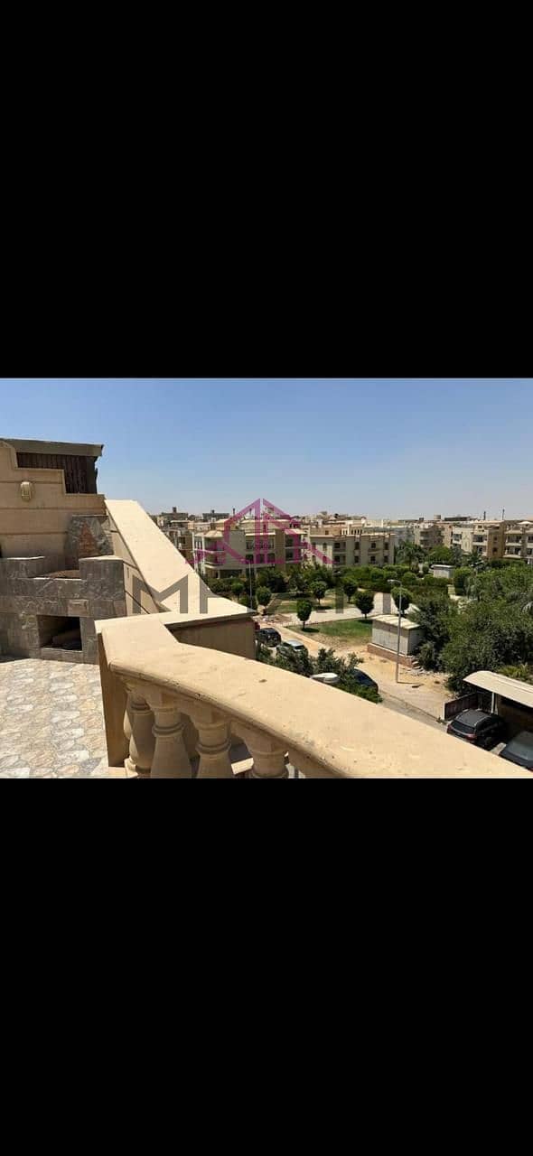 12 photo_5902098046638558123_y. jpg