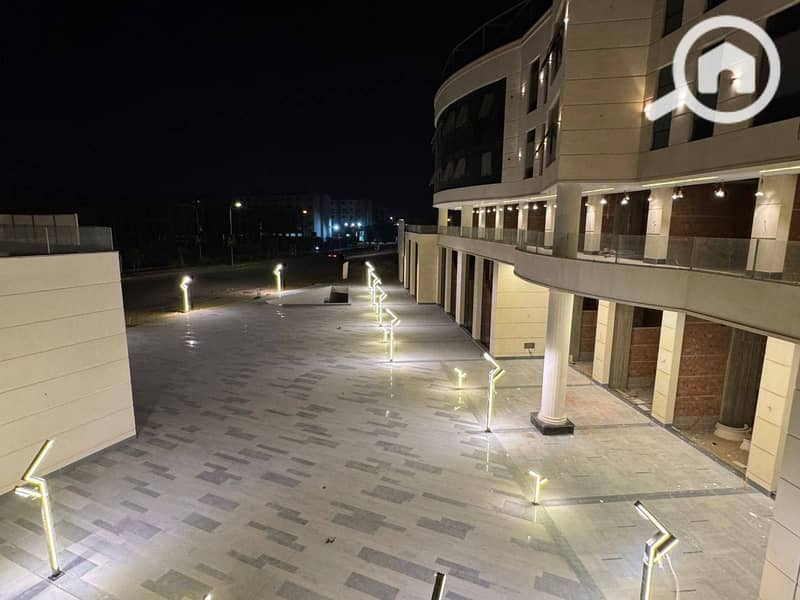 2 photo_1_2025-12-13_16-52-03. jpg