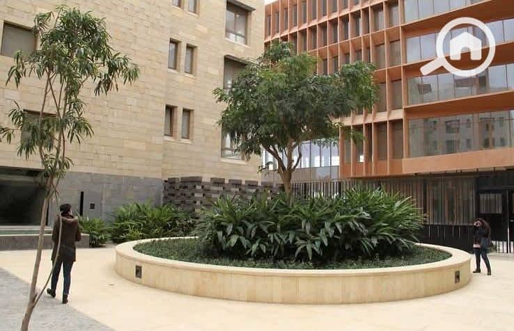 16 WhatsApp Image 2025-01-14 at 3.43. 45 PM. jpeg