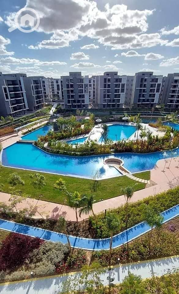 1000056090. jpg 1000056090. jpg