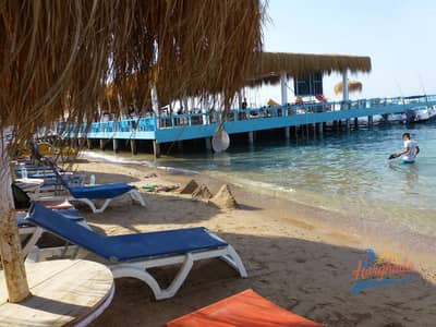 2 Bedroom Apartment for Sale in Hurghada, Red Sea - 547780714_1236715871805813_620775587588773381_n. jpg