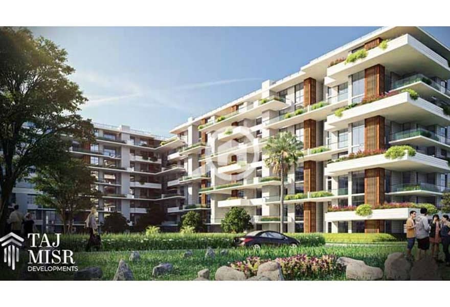 7 c949b916-e151-11ef-b921-ce7a413a7ff7. jpeg