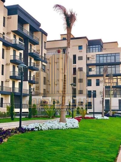 3 Bedroom Flat for Rent in Madinaty, Cairo - IMG-20251208-WA0314. jpg