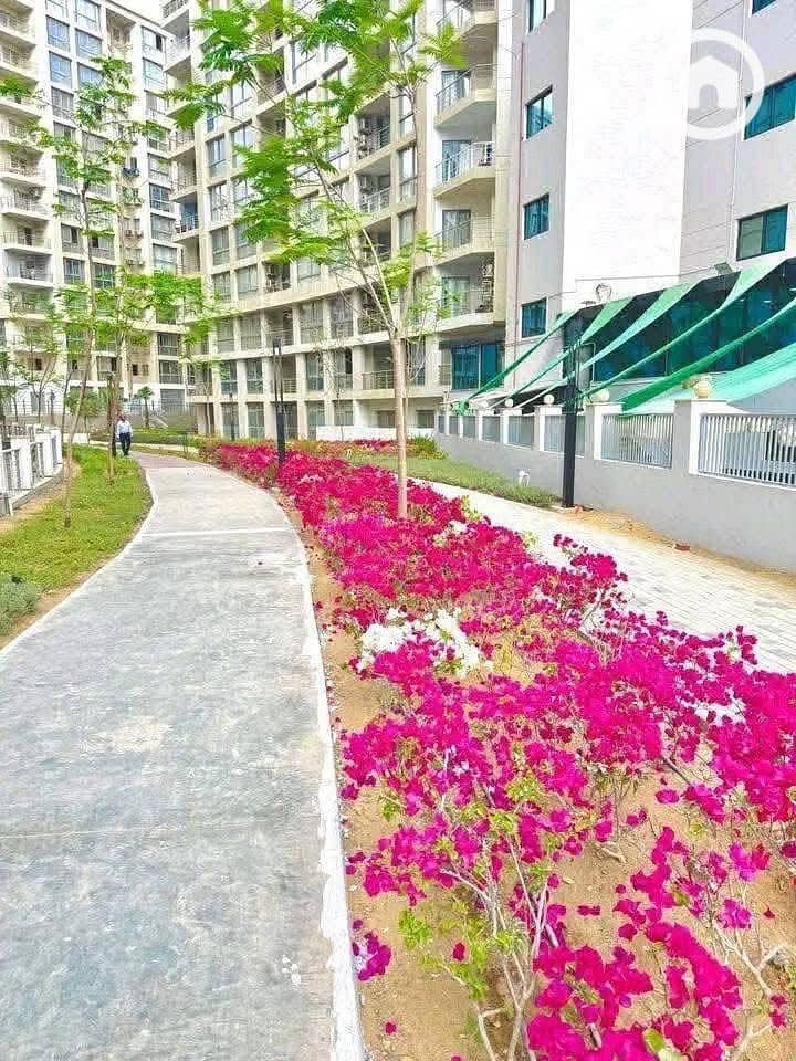 29 one kattameya . jpg 1. jpg