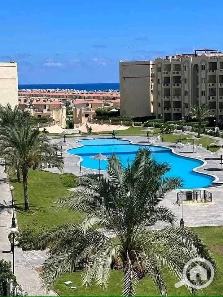 16 WhatsApp Image 2025-10-29 at 1.18. 48 PM (3). jpeg