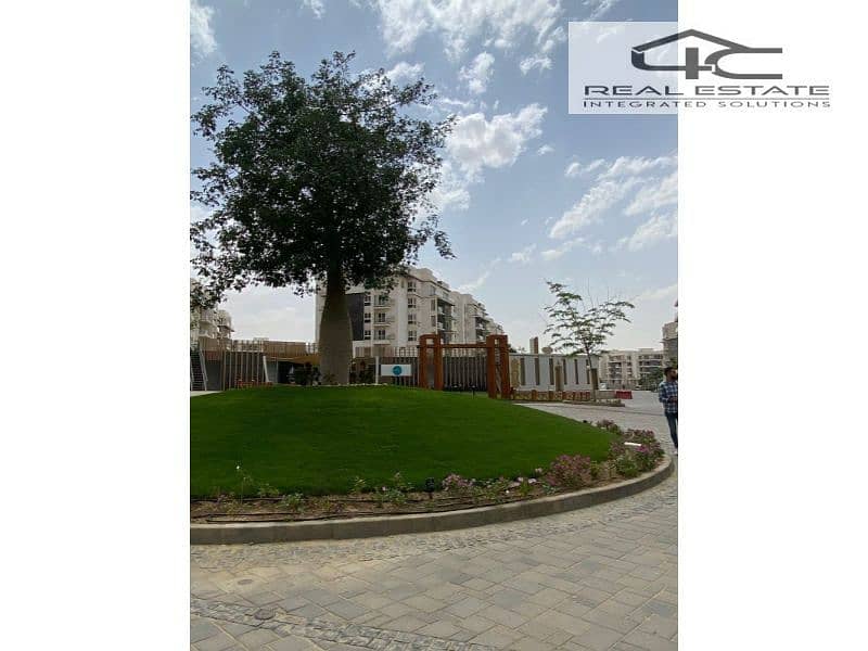 4 WhatsApp Image 2023-07-06 at 12.04. 04 PM (1). jpg