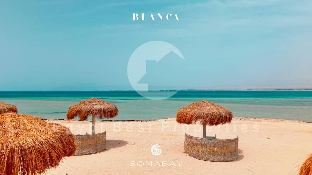 5 WhatsApp Image 2025-09-28 at 6.07. 38 PM. jpeg