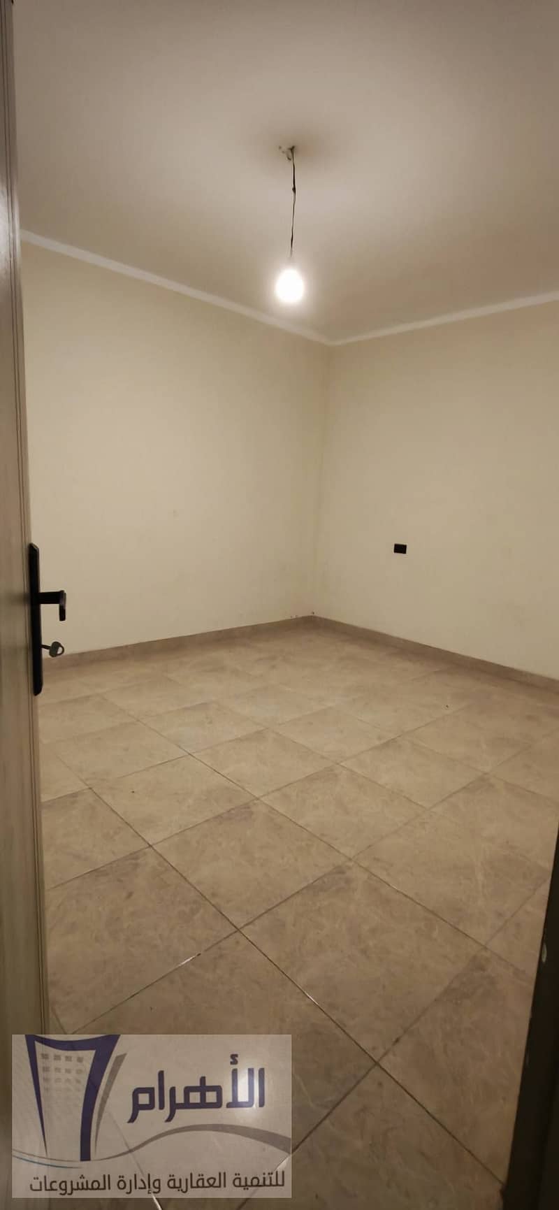 8 594159867_2635677850132758_16302201088754443_n. jpg