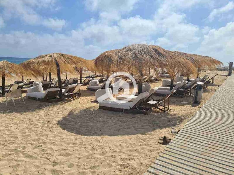 2 FB_IMG_1730418915171. jpg