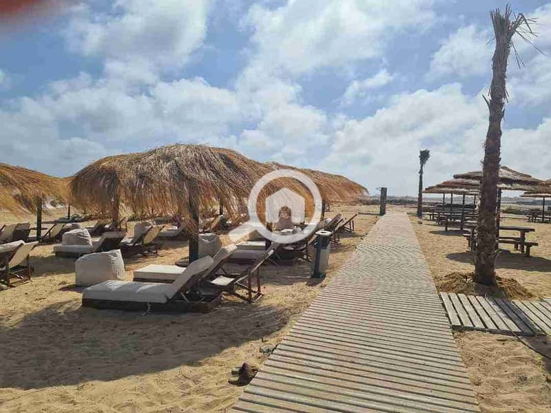 7 FB_IMG_1730418908899. jpg