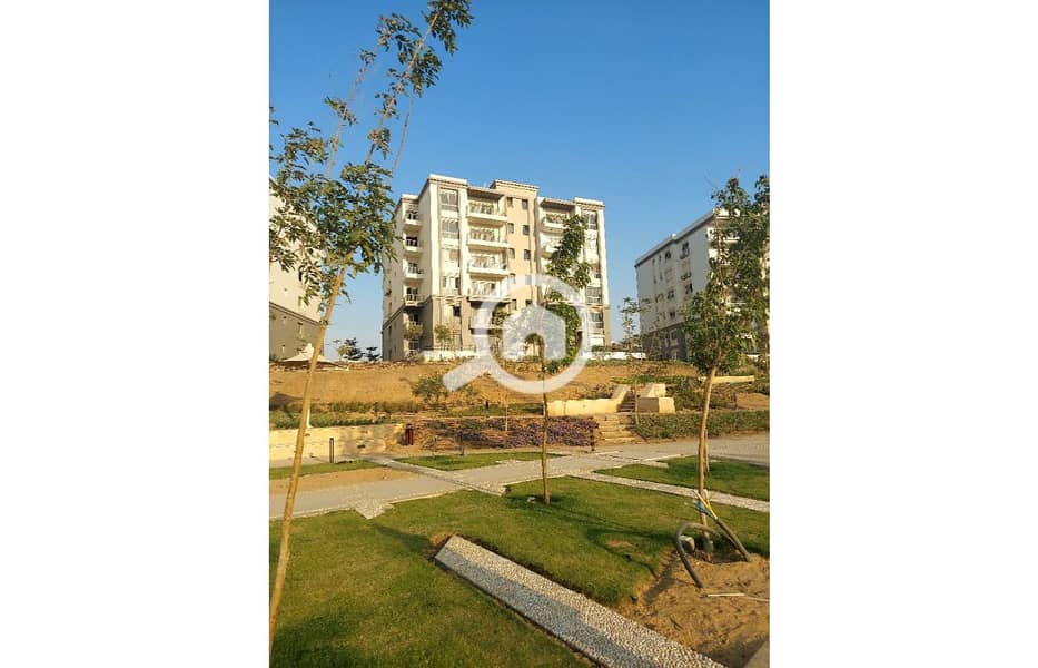 3 WhatsApp Image 2025-01-07 at 14.08. 03_d2fb90a0. jpg