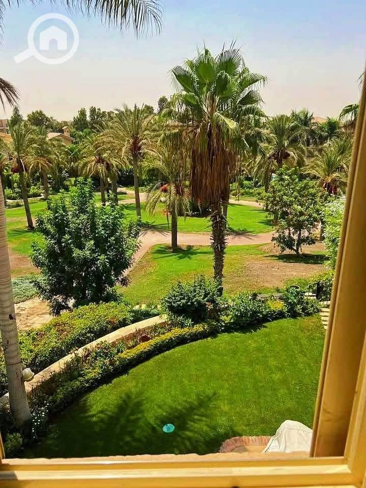 2 498077055_681609381280946_570293113384353519_n. jpg