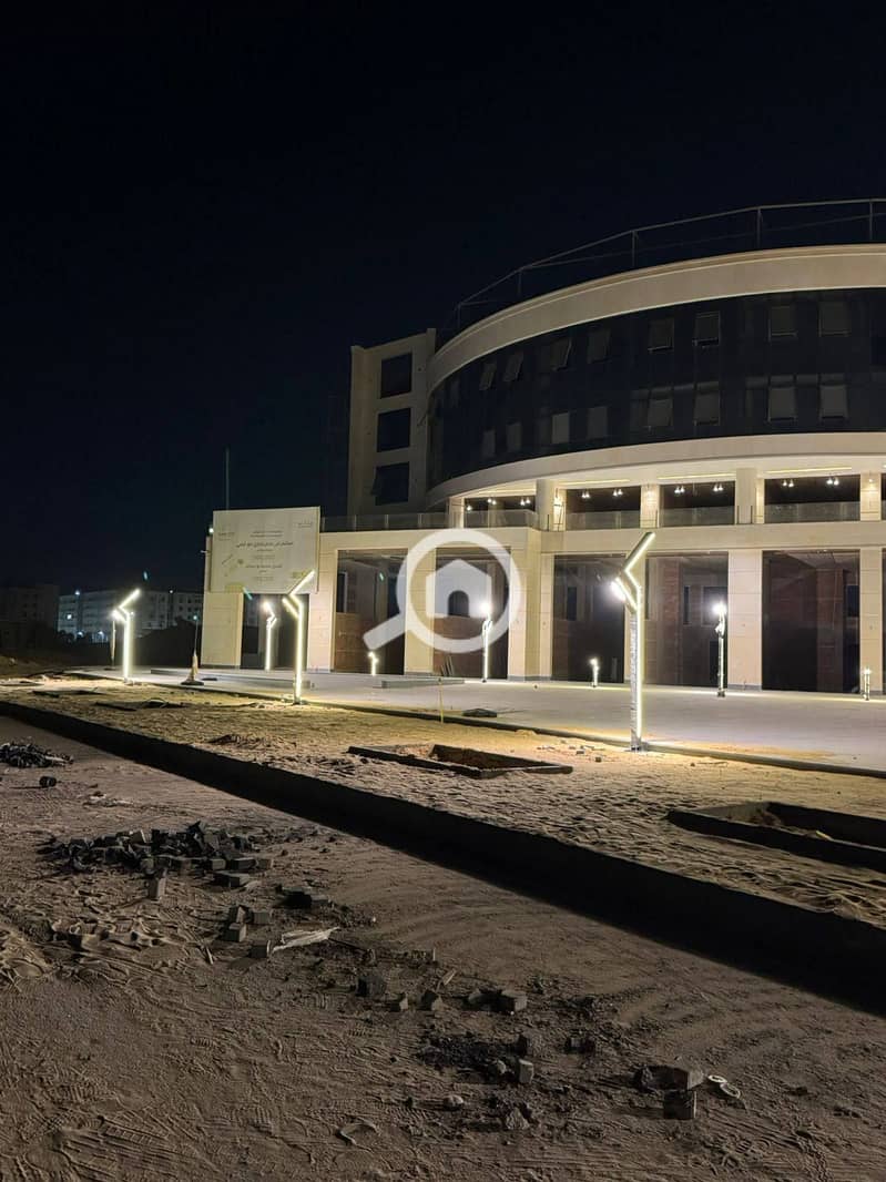 6 photo_4_2025-12-13_16-52-03. jpg