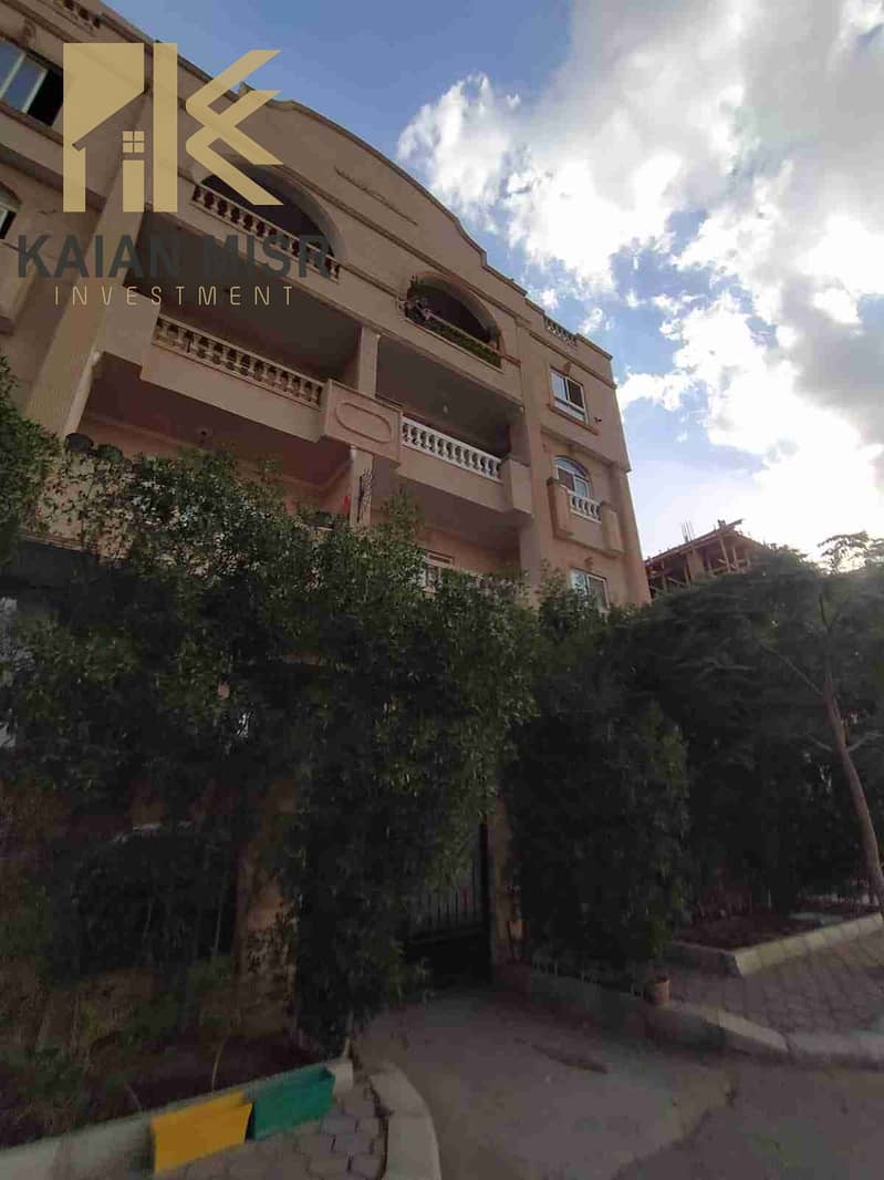 1000035384. jpg 1000035384. jpg